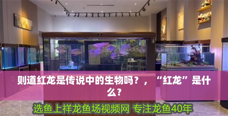 則道紅龍是傳說中的生物嗎?,“紅龍”是什么?