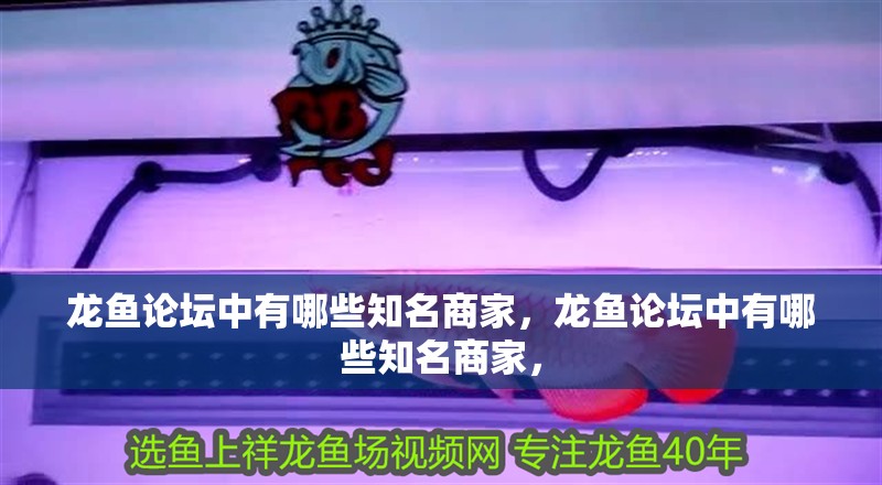 龍魚論壇中有哪些知名商家，龍魚論壇中有哪些知名商家，