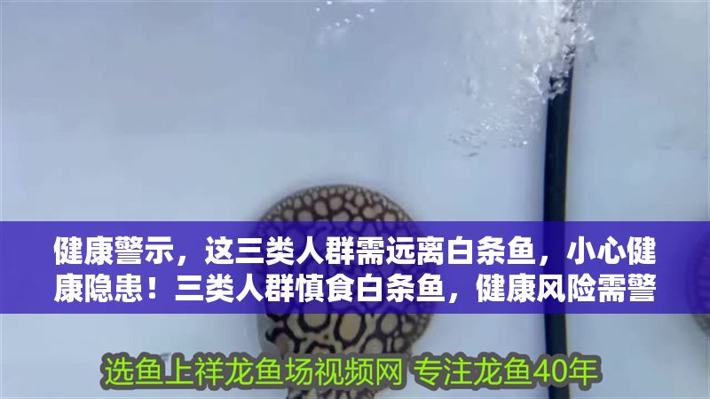 健康警示，這三類人群需遠離白條魚，小心健康隱患！三類人群慎食白條魚，健康風險需警惕！