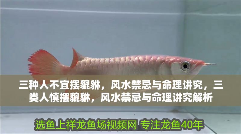 三種人不宜擺貔貅，風水禁忌與命理講究，三類人慎擺貔貅，風水禁忌與命理講究解析