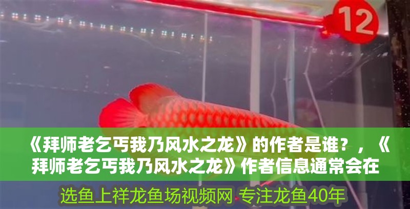 《拜師老乞丐我乃風水之龍》的作者是誰？，《拜師老乞丐我乃風水之龍》作者信息通常會在正文首章展示