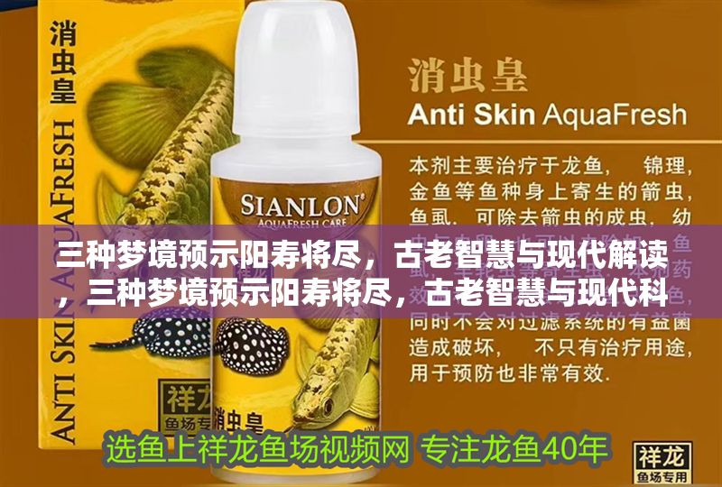 三種夢境預示陽壽將盡，古老智慧與現代解讀，三種夢境預示陽壽將盡，古老智慧與現代科學解讀 三種夢境預示陽壽將盡，古老智慧與現代解讀，三種夢境預示陽壽將盡，古老智慧與現代科學解讀 龍魚百科 第1張