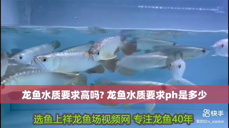 龍魚水質要求高嗎? 龍魚水質要求ph是多少