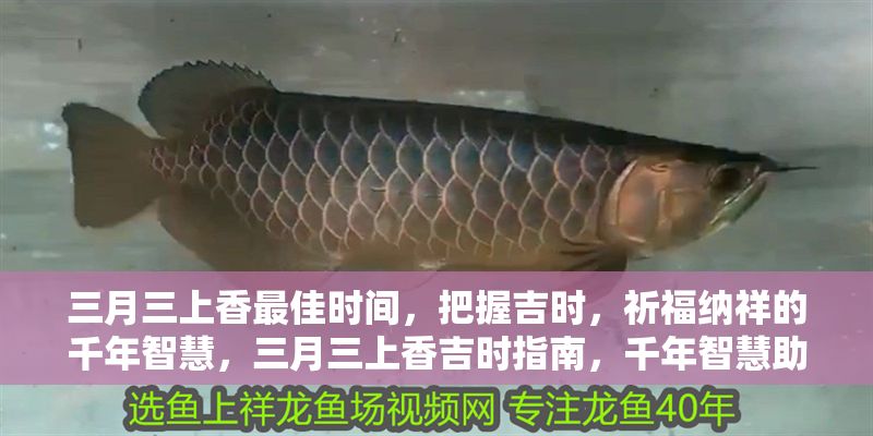 三月三上香最佳時間，把握吉時，祈福納祥的千年智慧，三月三上香吉時指南，千年智慧助你祈福納祥