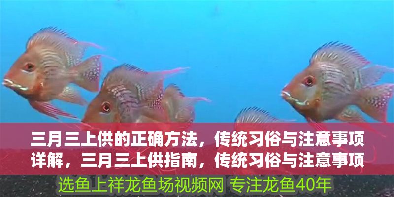 三月三上供的正確方法，傳統習俗與注意事項詳解，三月三上供指南，傳統習俗與注意事項全解析