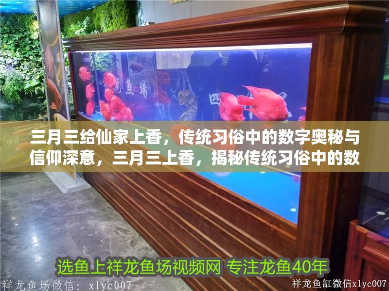 三月三給仙家上香，傳統習俗中的數字奧秘與信仰深意，三月三上香，揭秘傳統習俗中的數字密碼與仙家信仰