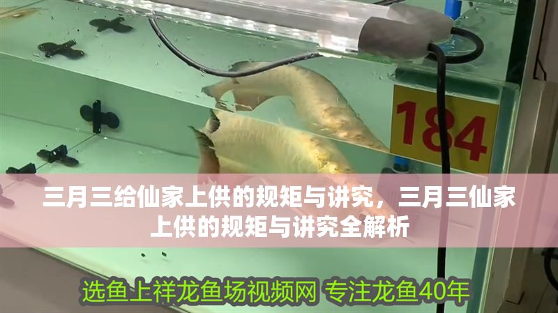 三月三給仙家上供的規(guī)矩與講究，三月三仙家上供的規(guī)矩與講究全解析
