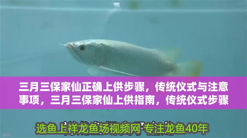 三月三保家仙正確上供步驟，傳統儀式與注意事項，三月三保家仙上供指南，傳統儀式步驟與注意事項詳解