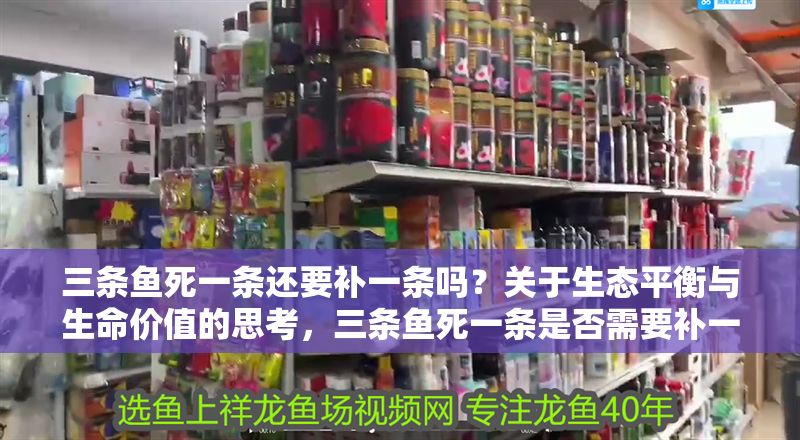 三條魚死一條還要補一條嗎？關于生態平衡與生命價值的思考，三條魚死一條是否需要補一條？生態平衡與生命價值的辯證思考