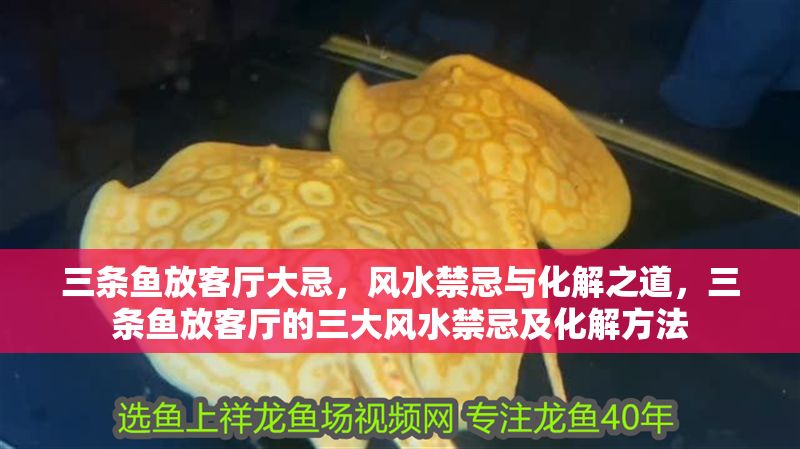三條魚放客廳大忌，風水禁忌與化解之道，三條魚放客廳的三大風水禁忌及化解方法