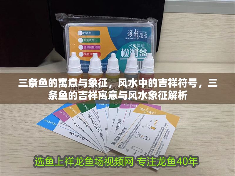 三條魚的寓意與象征，風水中的吉祥符號，三條魚的吉祥寓意與風水象征解析