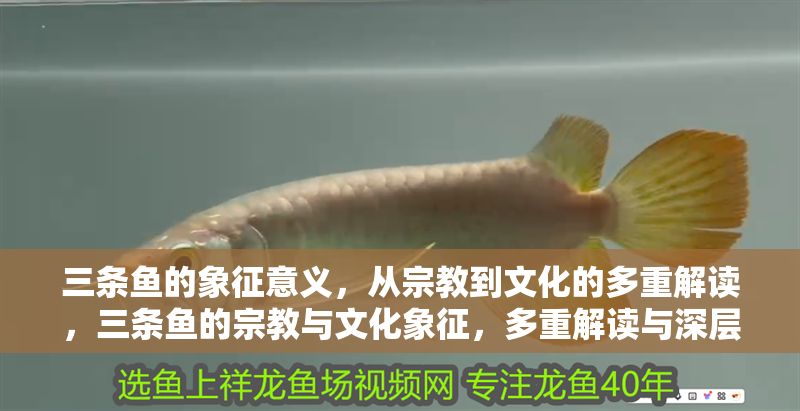 三條魚的象征意義，從宗教到文化的多重解讀，三條魚的宗教與文化象征，多重解讀與深層意涵