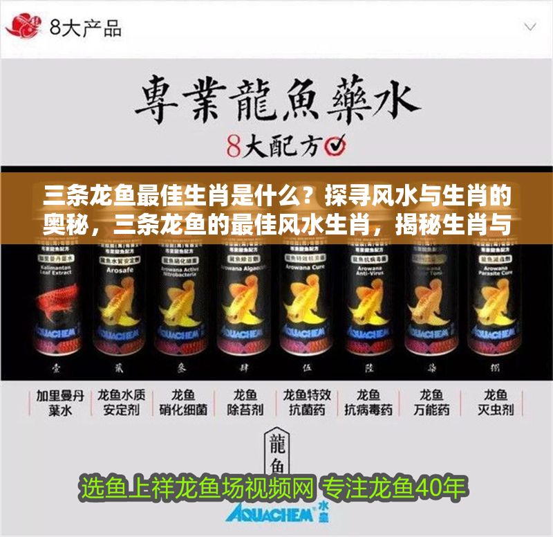 三條龍魚最佳生肖是什么？探尋風水與生肖的奧秘，三條龍魚的最佳風水生肖，揭秘生肖與龍魚的旺運奧秘