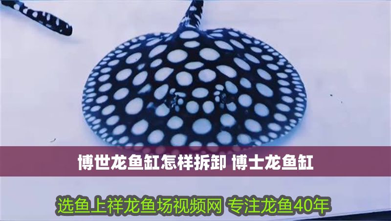 博世龍魚缸怎樣拆卸 博士龍魚缸