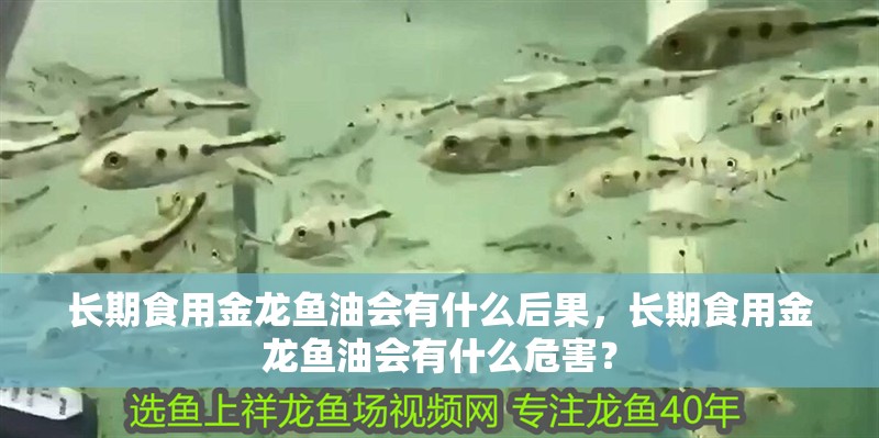 長期食用金龍魚油會有什么后果，長期食用金龍魚油會有什么危害？