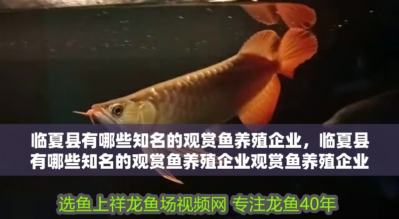 臨夏縣有哪些知名的觀賞魚養殖企業，臨夏縣有哪些知名的觀賞魚養殖企業觀賞魚養殖企業