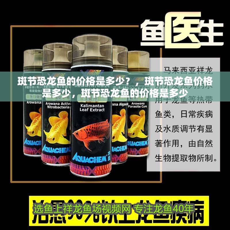 斑節恐龍魚的價格是多少？，斑節恐龍魚價格是多少，斑節恐龍魚的價格是多少