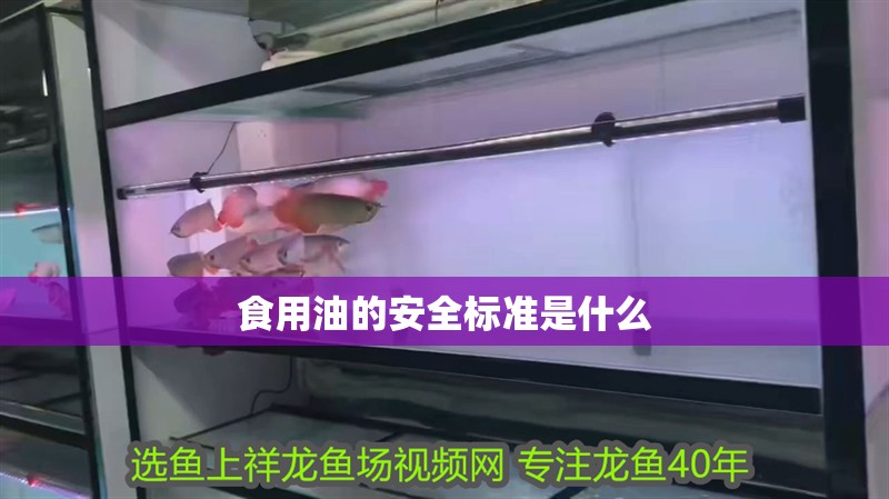 食用油的安全標準是什么