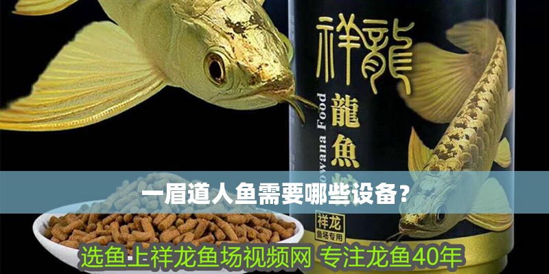 一眉道人魚需要哪些設(shè)備？
