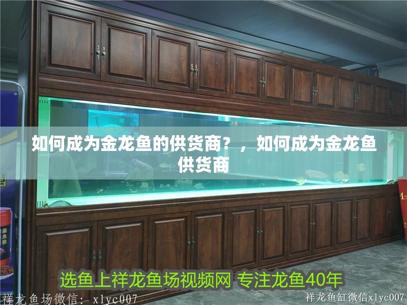 如何成為金龍魚的供貨商？，如何成為金龍魚供貨商