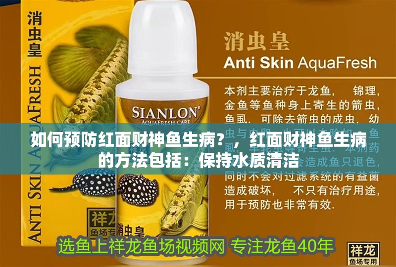 如何預防紅面財神魚生??？，紅面財神魚生病的方法包括：保持水質清潔