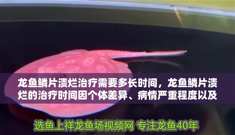 龍魚鱗片潰爛治療需要多長時間，龍魚鱗片潰爛的治療時間因個體差異、病情嚴重程度以及治療方法不同而有所變化