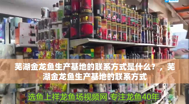 蕪湖金龍魚生產基地的聯系方式是什么？，蕪湖金龍魚生產基地的聯系方式
