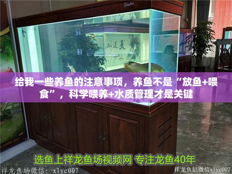 給我一些養魚的注意事項，養魚不是“放魚+喂食”，科學喂養+水質管理才是關鍵