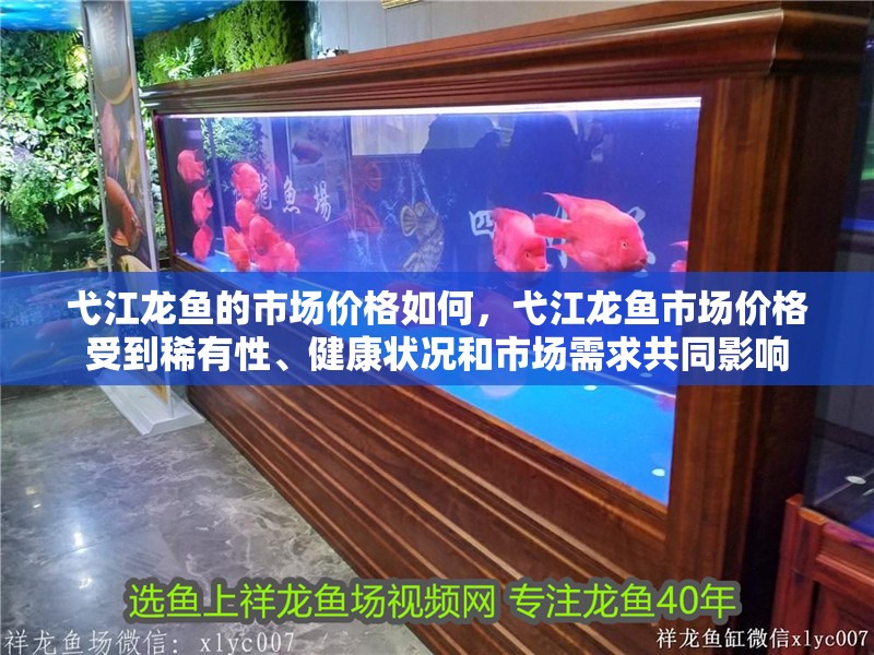 弋江龍魚的市場(chǎng)價(jià)格如何，弋江龍魚市場(chǎng)價(jià)格受到稀有性、健康狀況和市場(chǎng)需求共同影響
