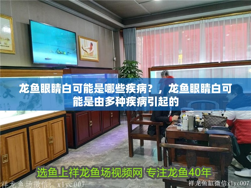 龍魚眼睛白可能是哪些疾病？，龍魚眼睛白可能是由多種疾病引起的