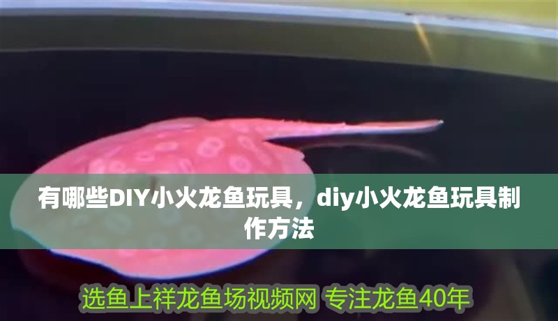 有哪些DIY小火龍魚(yú)玩具，diy小火龍魚(yú)玩具制作方法