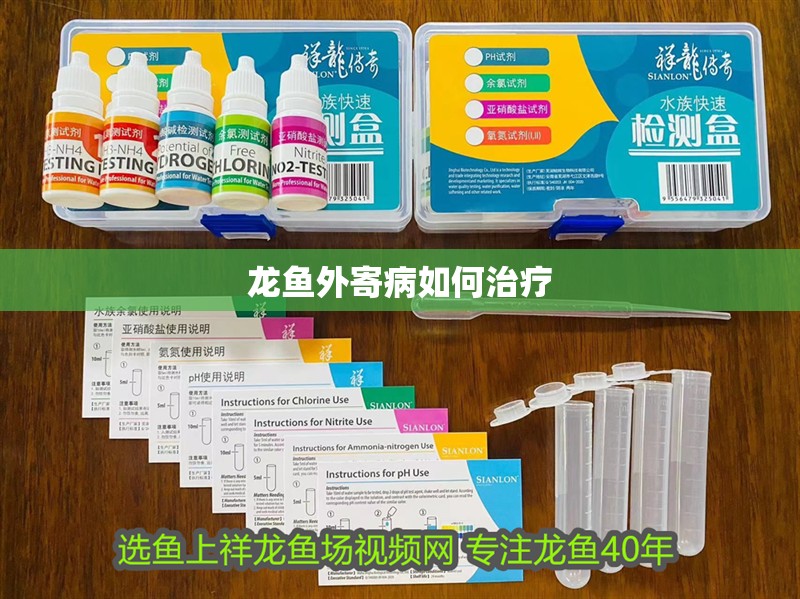 龍魚外寄病如何治療