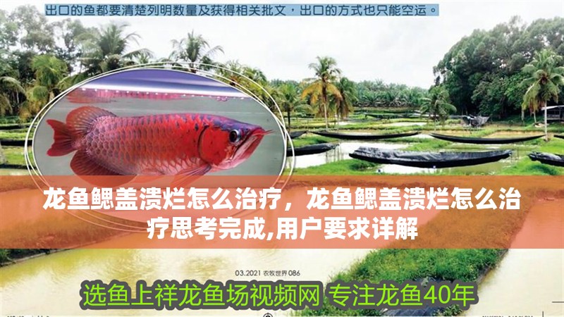 龍魚鰓蓋潰爛怎么治療，龍魚鰓蓋潰爛怎么治療思考完成,用戶要求詳解