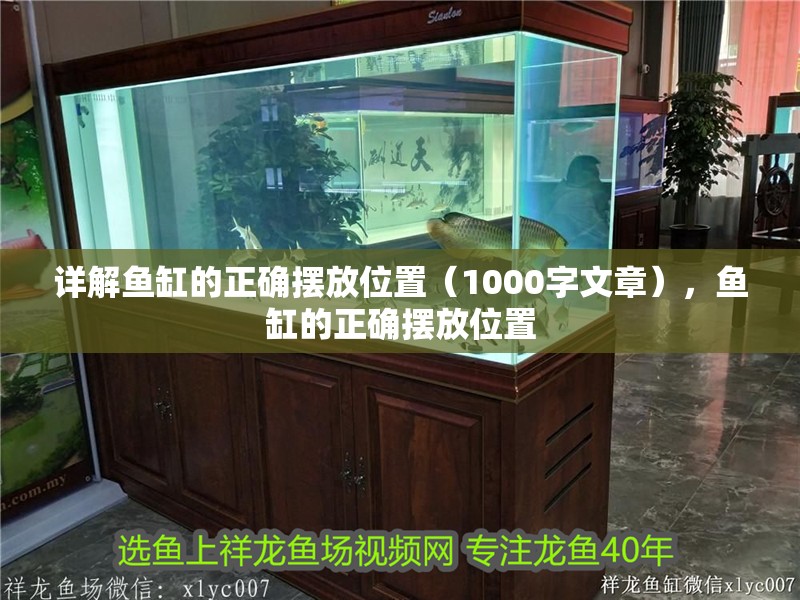 詳解魚缸的正確擺放位置（1000字文章），魚缸的正確擺放位置