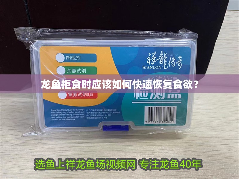 龍魚拒食時應該如何快速恢復食欲？