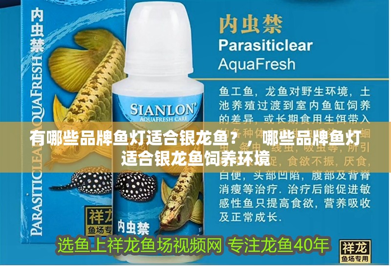有哪些品牌魚燈適合銀龍魚？，哪些品牌魚燈適合銀龍魚飼養(yǎng)環(huán)境