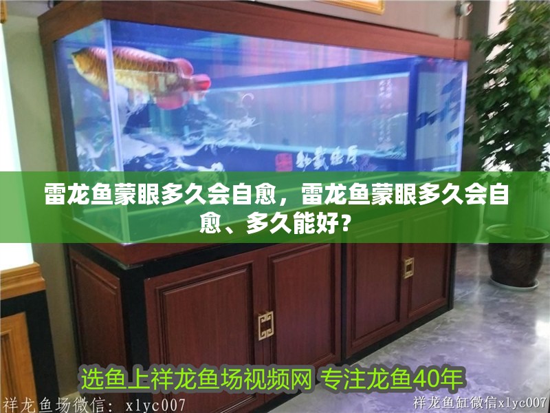 雷龍魚蒙眼多久會自愈，雷龍魚蒙眼多久會自愈、多久能好？