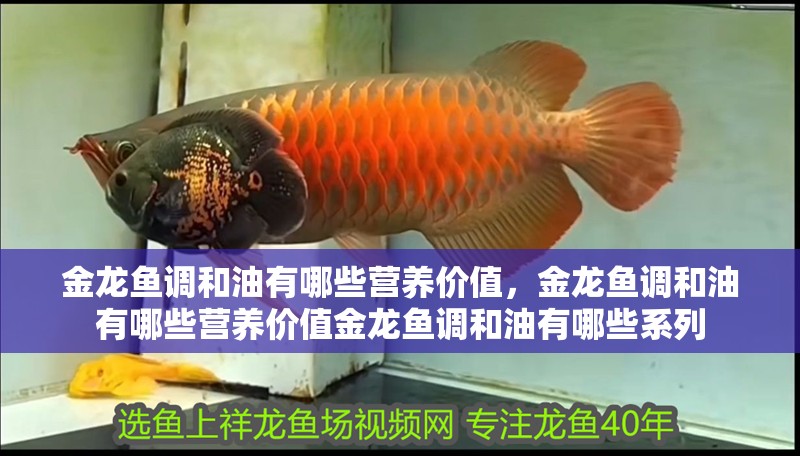金龍魚調和油有哪些營養價值，金龍魚調和油有哪些營養價值金龍魚調和油有哪些系列