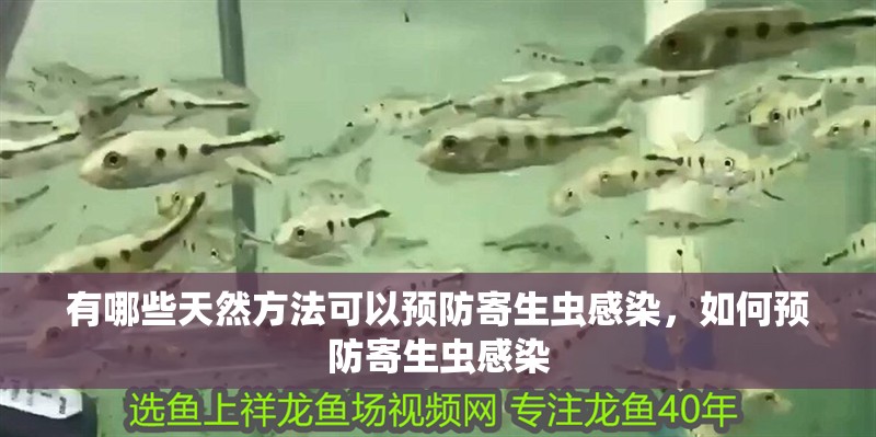 有哪些天然方法可以預防寄生蟲感染，如何預防寄生蟲感染