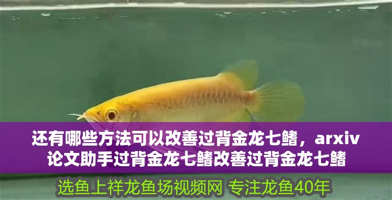 還有哪些方法可以改善過背金龍七鰭，arxiv論文助手過背金龍七鰭改善過背金龍七鰭