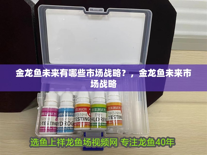 金龍魚未來有哪些市場戰略？，金龍魚未來市場戰略