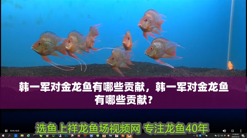 韓一軍對金龍魚有哪些貢獻，韓一軍對金龍魚有哪些貢獻？