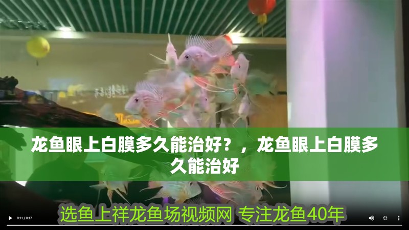 龍魚眼上白膜多久能治好？，龍魚眼上白膜多久能治好