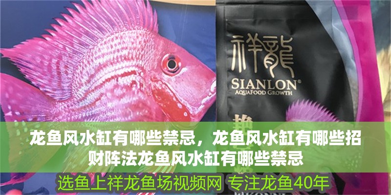 龍魚風水缸有哪些禁忌，龍魚風水缸有哪些招財陣法龍魚風水缸有哪些禁忌