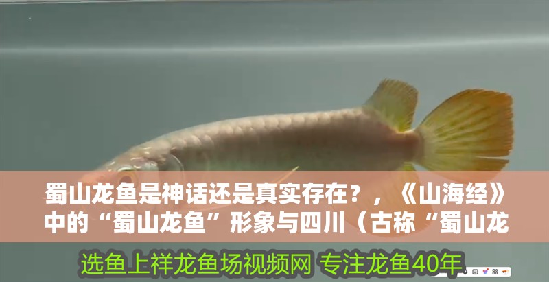 蜀山龍魚是神話還是真實存在?,《山海經(jīng)》中的“蜀山龍魚”形象與四川(古稱“蜀山龍魚”