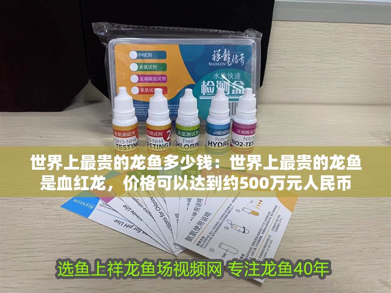 世界上最貴的龍魚多少錢：世界上最貴的龍魚是血紅龍，價格可以達到約500萬元人民幣