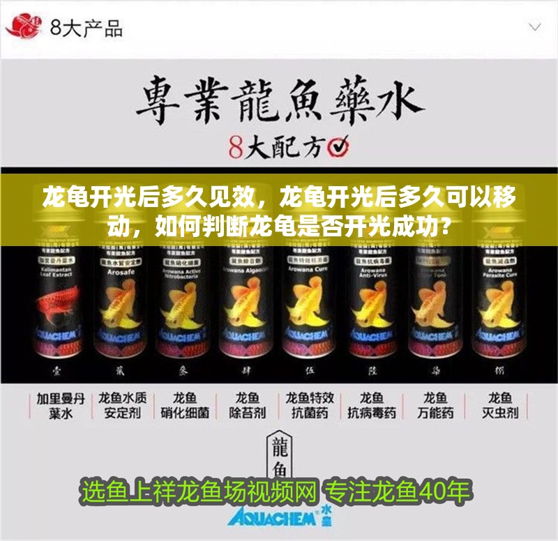 龍龜開光后多久見效，龍龜開光后多久可以移動，如何判斷龍龜是否開光成功？