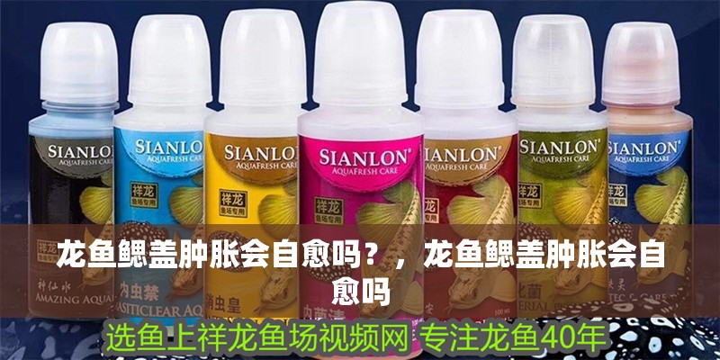 龍魚鰓蓋腫脹會自愈嗎？，龍魚鰓蓋腫脹會自愈嗎