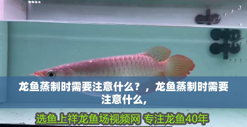 龍魚蒸制時需要注意什么？，龍魚蒸制時需要注意什么,