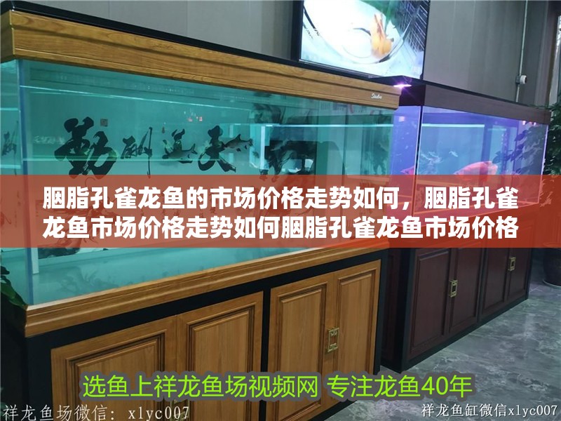 胭脂孔雀龍魚的市場價格走勢如何，胭脂孔雀龍魚市場價格走勢如何胭脂孔雀龍魚市場價格波動